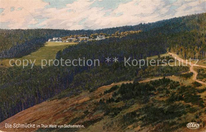 Verlag WIRO Wiedemann Nr. 3086 Schmuecke Thueringer Wald Sachsenstein