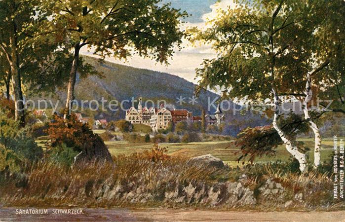 Verlag Wiedemann WIRO Nr. 2475 A Bad Blankenburg Schwarzatal Sanatorium Schwarze