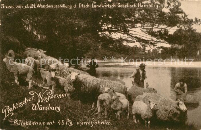 Ausstellung 24. Wanderausstellung Hamburg Schafe Schaefer