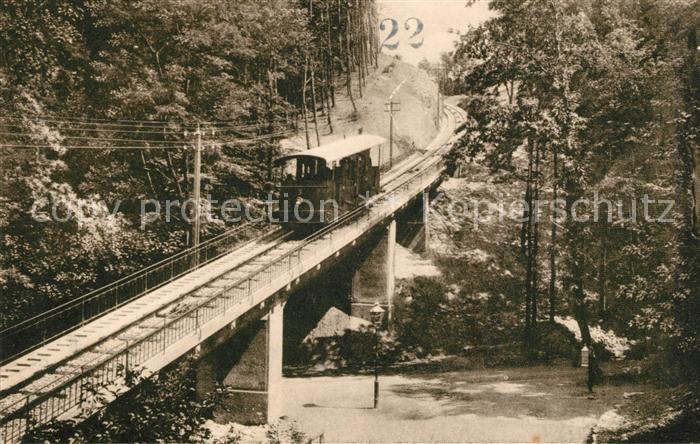 Bergbahn Koenigstuhl Heidelberg Viadukt Molkenkur