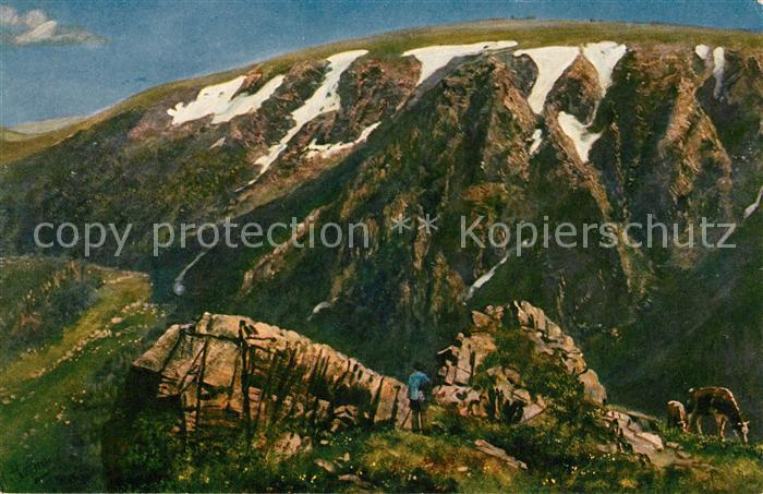 Hoffmann Heinrich Hohneck