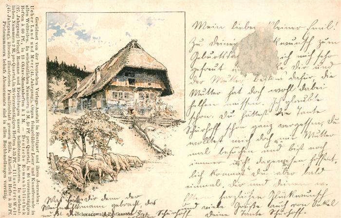 Schwarzwaldhaeuser Schafe