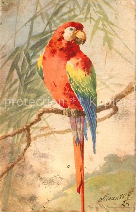 Klein Catharina Kuenstlerlitho Papagei