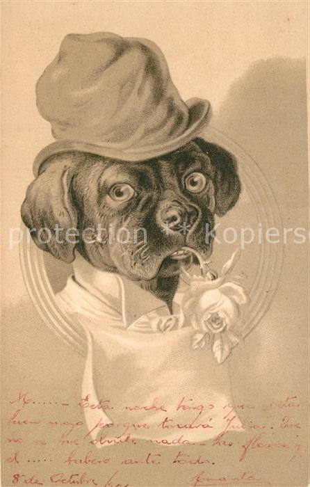 Hunde Hut Rose Litho