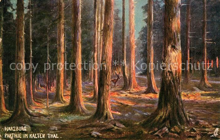 Verlag Tucks Oilette Nr. 205 Harzburg Kaltes Tal