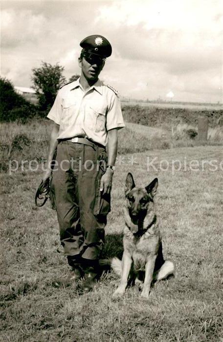 Polizei Polizist Schäferhund Wengerohr Polizeis