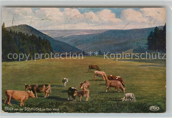 Verlag WIRO Wiedemann Nr. 3095 Schmuecke Sachsenstein Kuehe Schafe