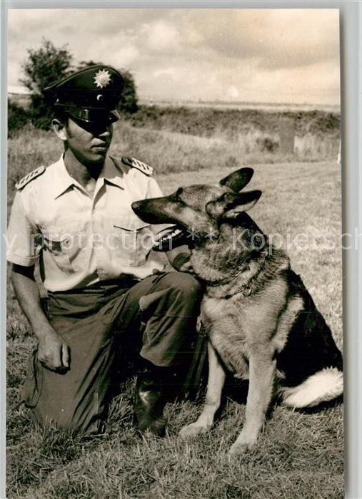 Polizei Polizist Schäferhund Wengerohr Polizeis