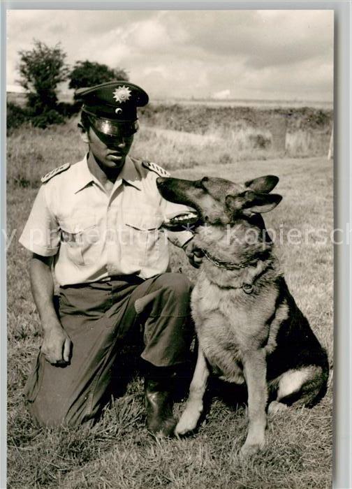 Polizei Polizist Schäferhund Wengerohr Polizeis