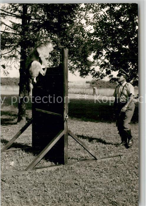 Polizei Polizist Schäferhund Wengerohr Polizeis