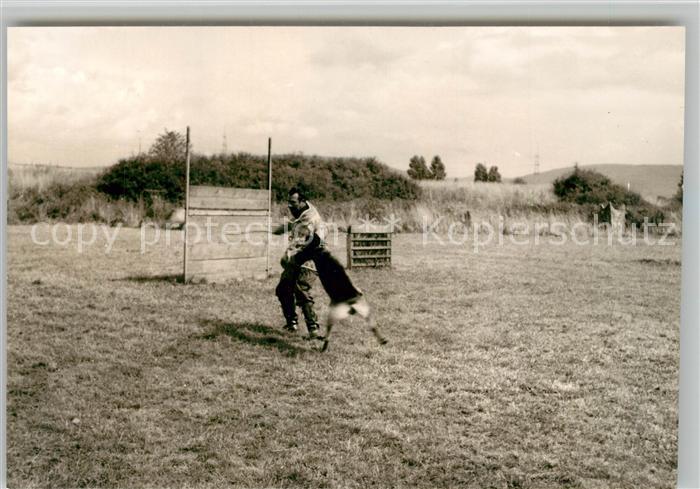 Schaeferhunde Wengerohr Polizeischule