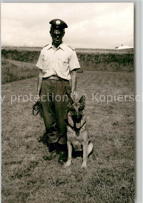 Polizei Polizist Schäferhund Wengerohr Polizeis