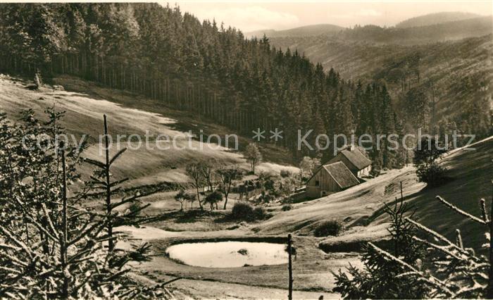 Schwarzwald Panorama