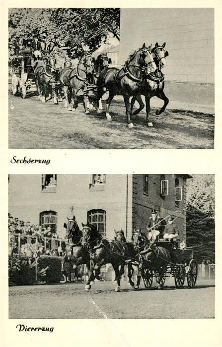 Celle Niedersachsen Pferdegespanne Sechserzug Viererzug