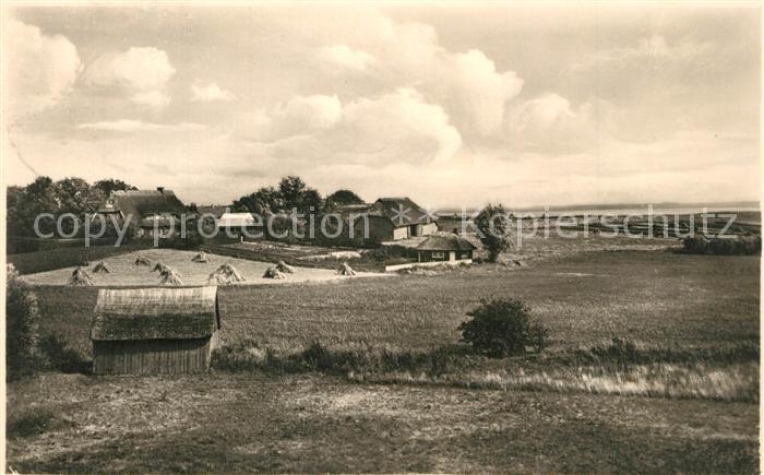 Ahrenshoop Ostseebad Landschaftspanorama