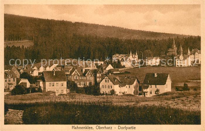 Hahnenklee-Bockswiese Harz Dorfpartie