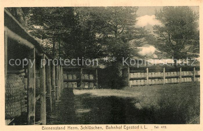 Egestorf Deister Bienenstand Herm. Schlueschen