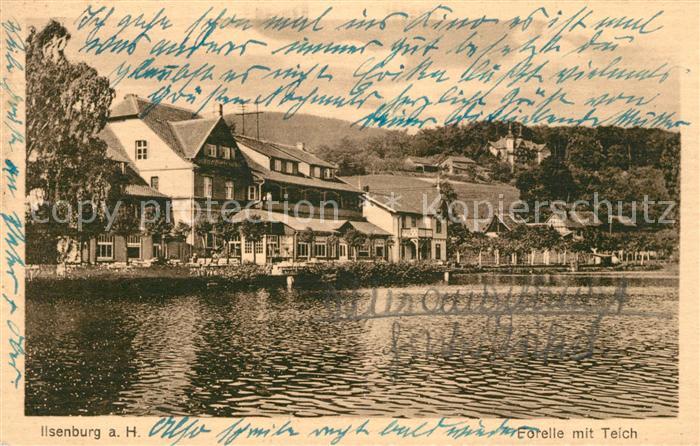 Ilsenburg Harz Restaurant Forelle mit Teich