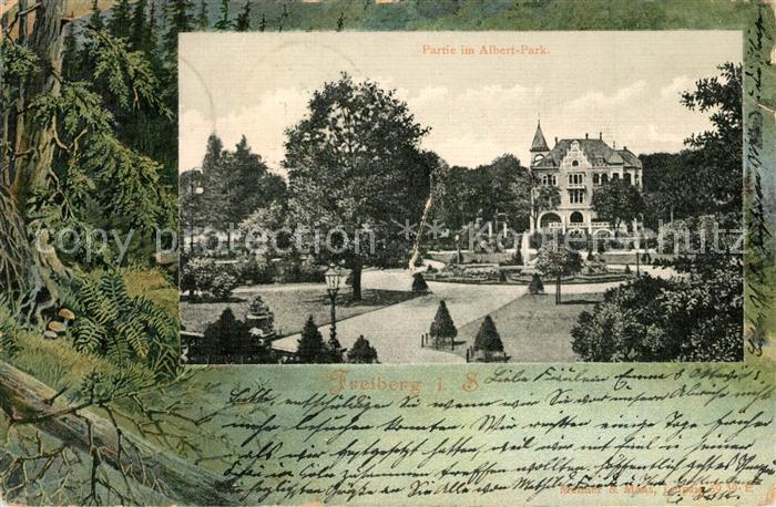 Freiberg Sachsen Partie im Albert Park