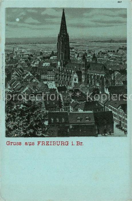 Freiburg Breisgau Stadtbild mit Muenster im Mondschein