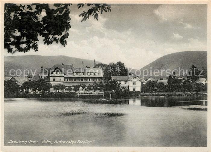 Ilsenburg Harz Hotel Zu den roten Forellen Forellenteich
