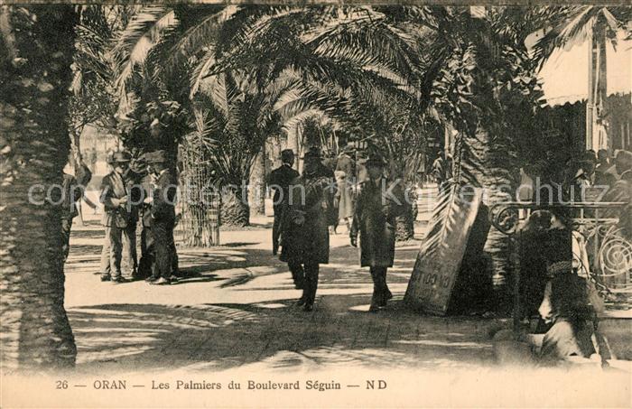 Oran Les Palmiers du Boulevard Seguin