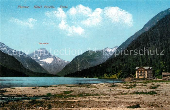 Plansee Hotel Forelle