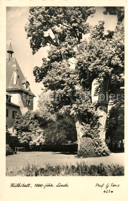 Millstatt Millstaettersee 1000-jaehrige Linde