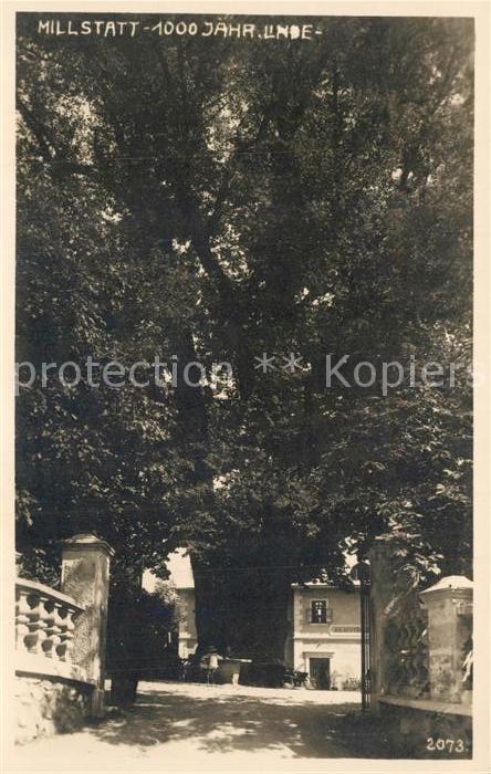 Millstatt Millstaettersee 1000 Jahre alte Linde