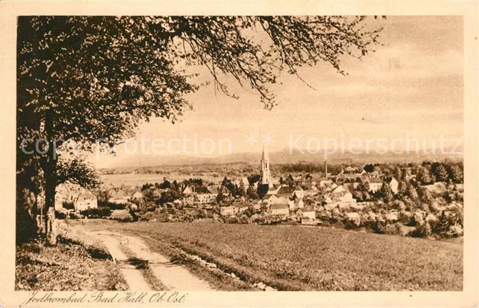 Bad Hall Oberoesterreich Panorama Jodbrombad