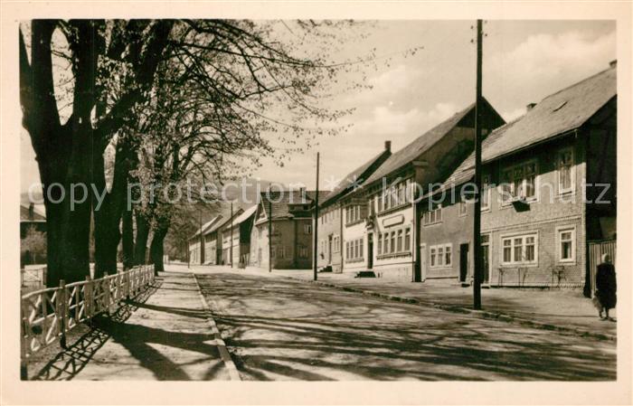 Elgersburg Hauptstrasse mit alten Linden