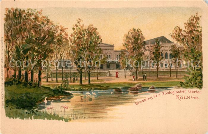 Koeln Rhein Zoologischer Garten