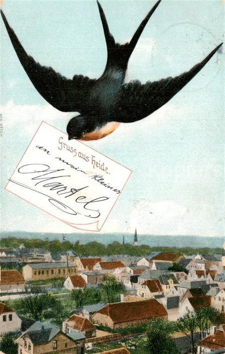 Heide Holstein Panorama Brieftaube