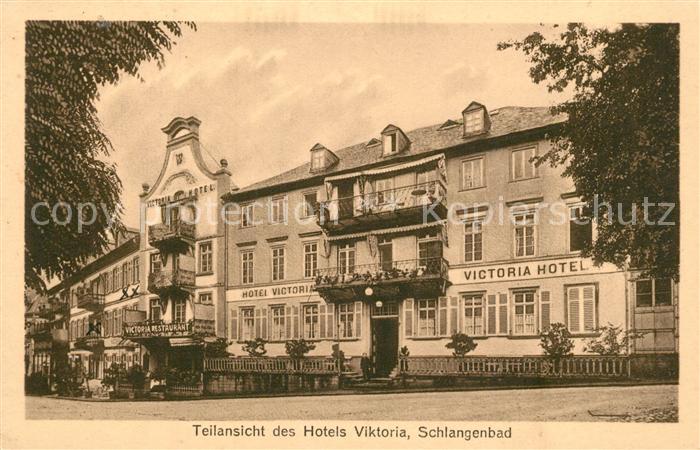 Schlangenbad Taunus Hotel Viktoria