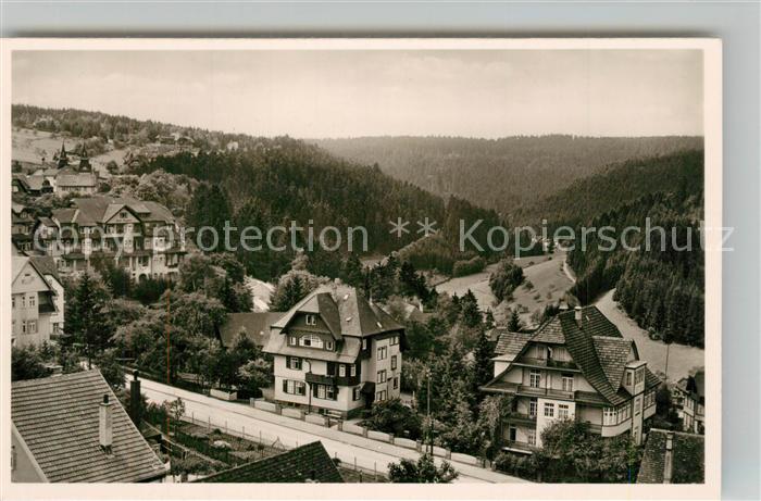 FREUDENSTADT BW Panorama