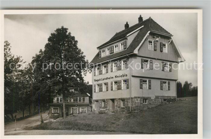 Kniebis Freudenstadt Vegetarier Landheim