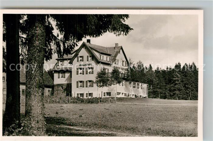 Kniebis Freudenstadt Luftkurheim Waldesruhe