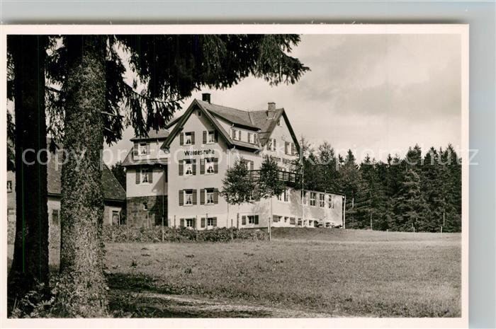 Kniebis Freudenstadt Luftkurheim Waldesruhe