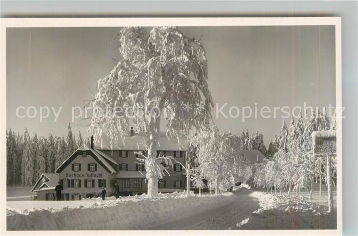 Oppenau Hoehenhotel Zuflucht Winter