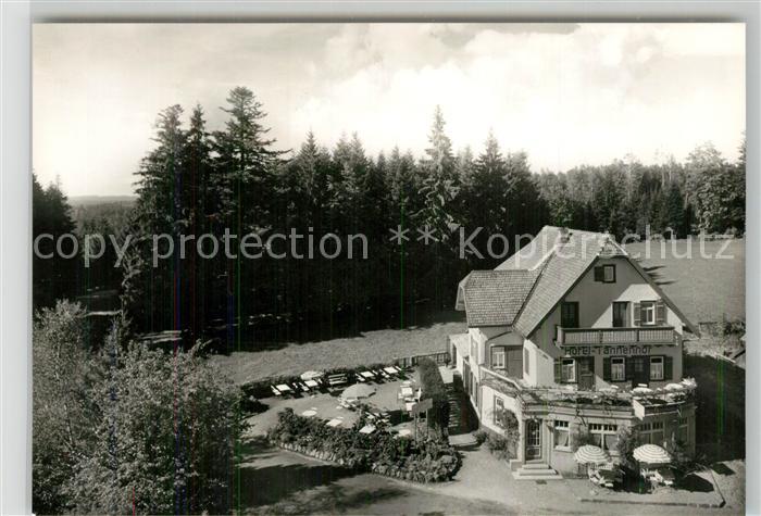 Zwieselberg Freudenstadt Hotel Tannenhof