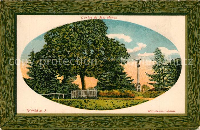 Woerth Sauer Mac Manon Baum Arbre Litho Bilderrahmen