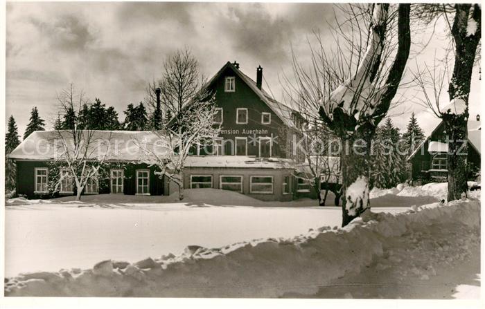 Zwieselberg Freudenstadt Gasthof zum Auerhahn Winterimpressionen Schwarzwald