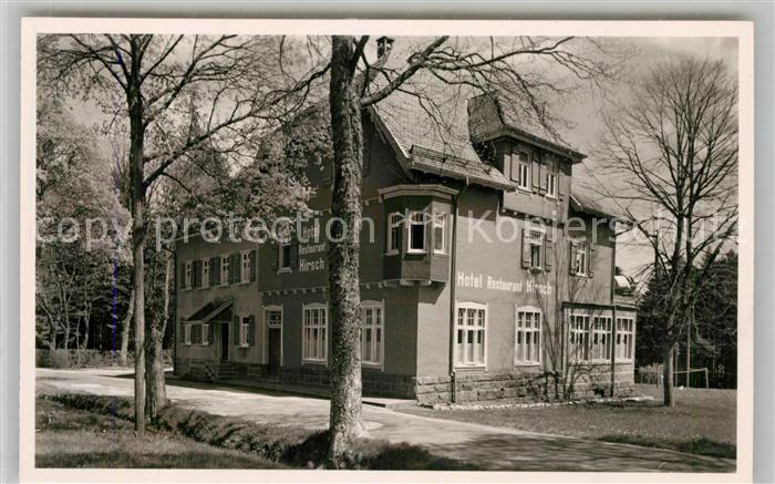 Oberzwieselberg Hotel Pension Hirsch Kurort Wintersportplatz im Schwarzwald