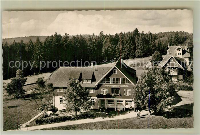 Zwieselberg Freudenstadt Schwarzwaldgasthof Auerhahn Kurort Wintersportplatz im