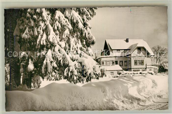 Zwieselberg Freudenstadt Hotel Tannenhof Kurort im Schwarzwald Winterimpressione