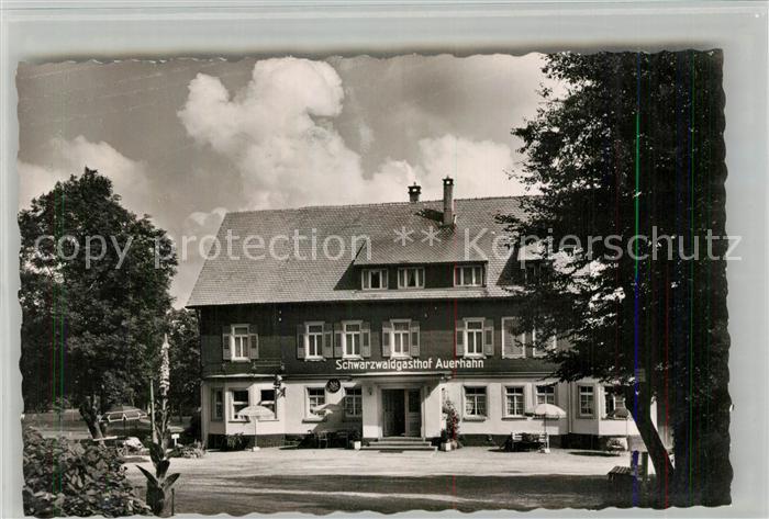 Zwieselberg Freudenstadt Schwarzwaldgasthof Auerhahn Kurort Wintersportplatz im