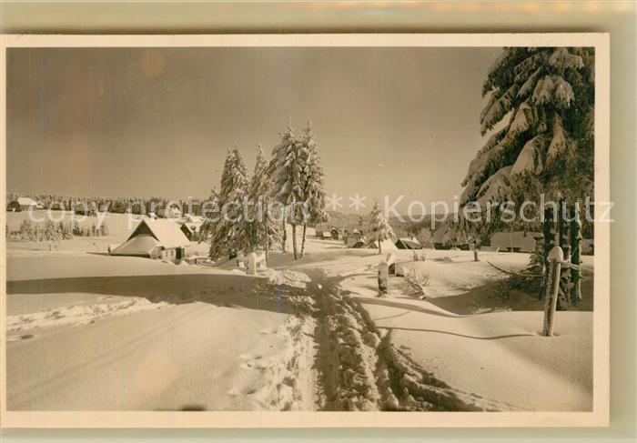 Kniebis Freudenstadt Winterlandschaft Kurort im Schwarzwald