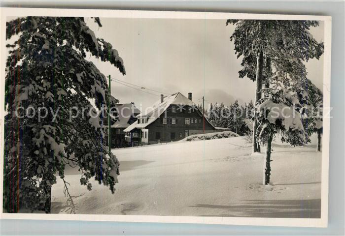 Kniebis Freudenstadt Gasthaus Pension zum Schwarzwald Winterimpressionen