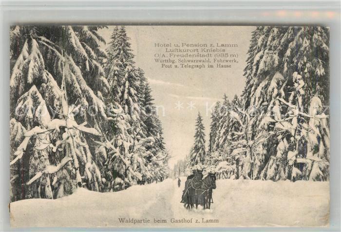 Kniebis Freudenstadt Waldpartie beim Gasthof zum Lamm Pferdeschlitten