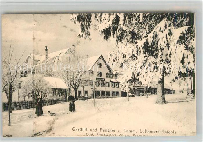 Kniebis Freudenstadt Gasthof Pension zum Lamm Winterpanorama Schwarzwald